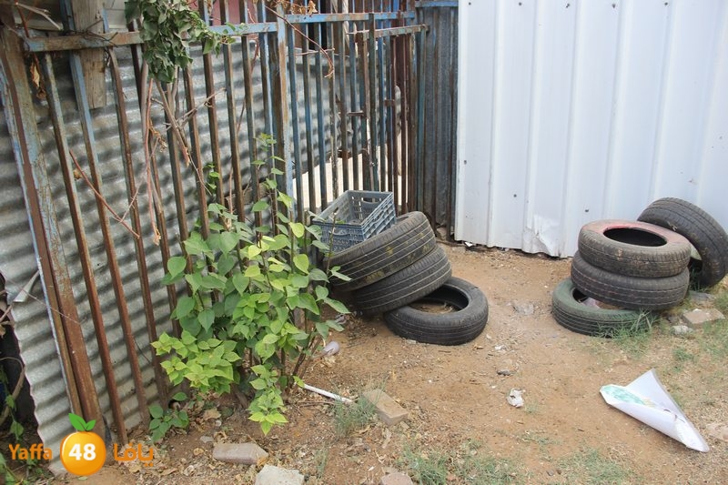 amal khayamaj3 (49).JPG